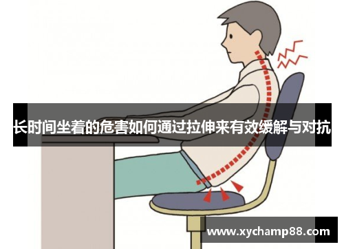 长时间坐着的危害如何通过拉伸来有效缓解与对抗